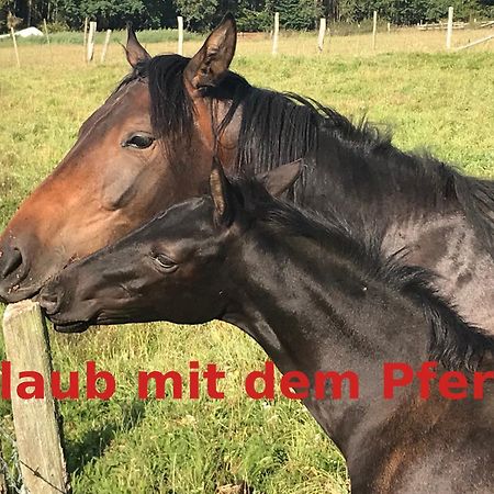 Hardtmuehle Momberg Apartman Kültér fotó